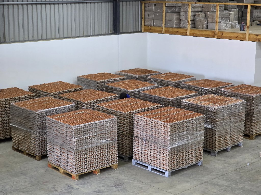 Egg Production & Storage