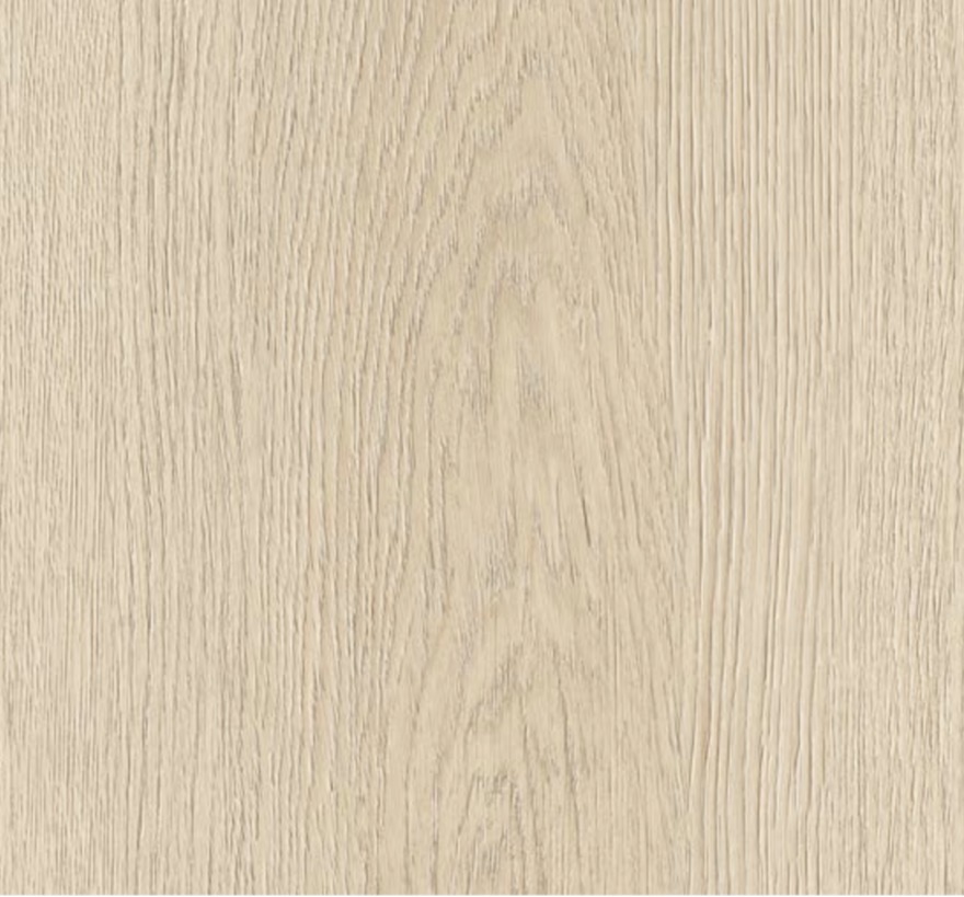 Sand Oak
