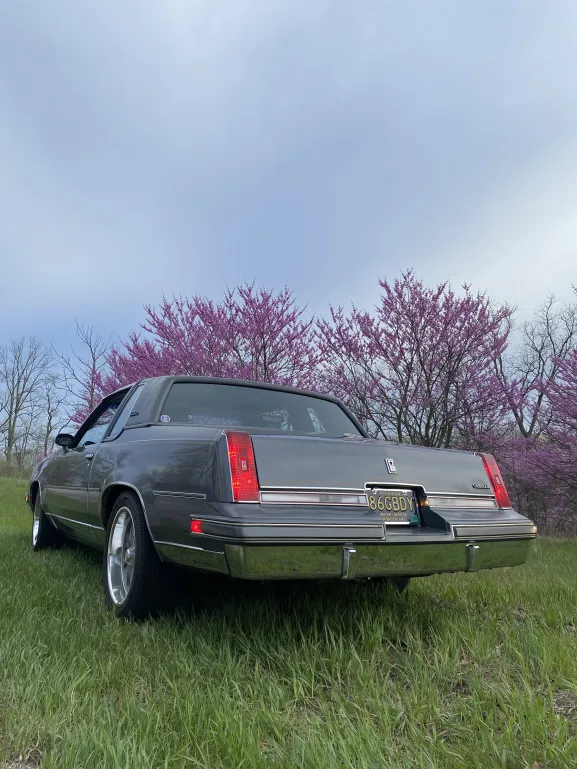 Alex's Cutlass 2