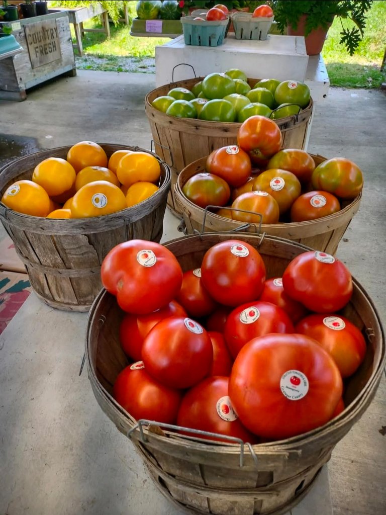 Fresh vegetables at market