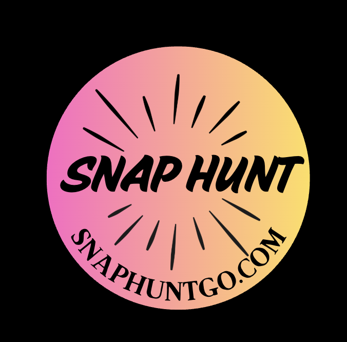 Snap Hub template preview