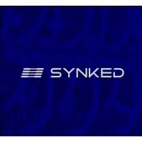 SYNKED - Controle de Baixa de Material template preview