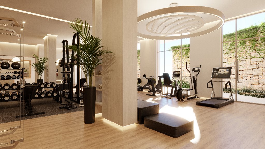 Gym & Fitness