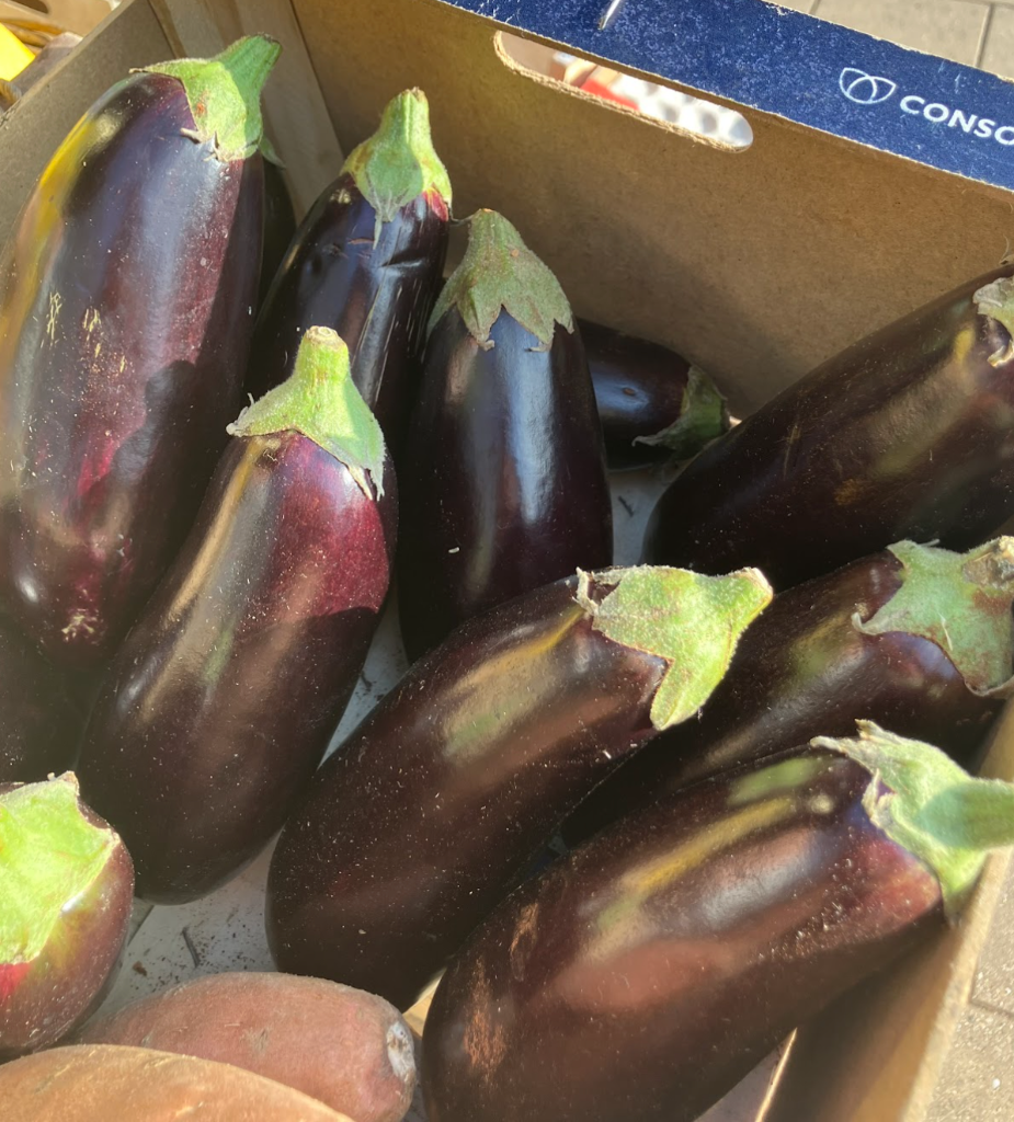 Aubergine