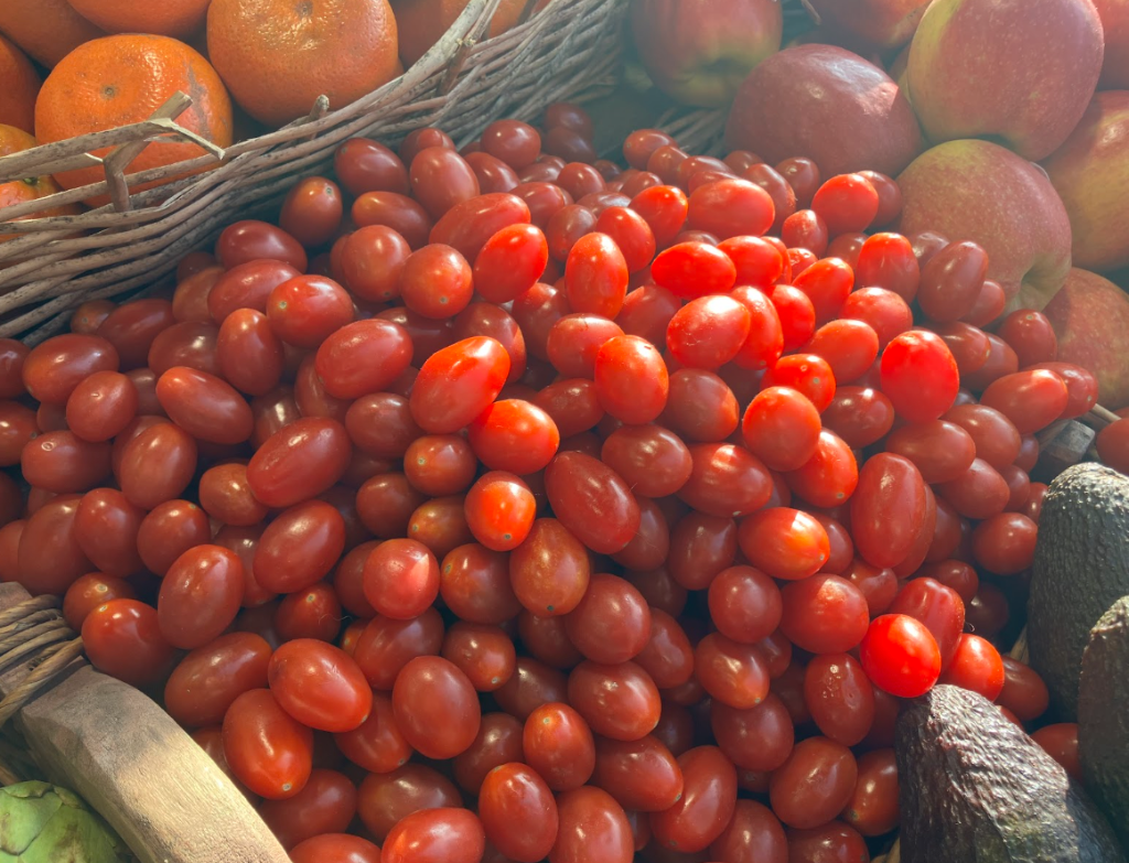 Large Vine Tomatoes