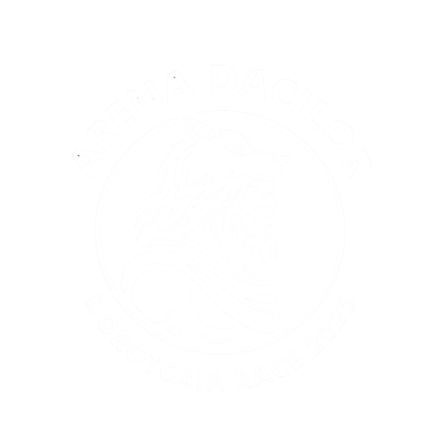 Arena Dacilor