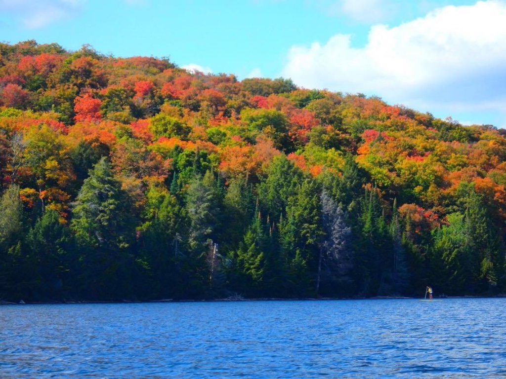 Algonquin fall foliage