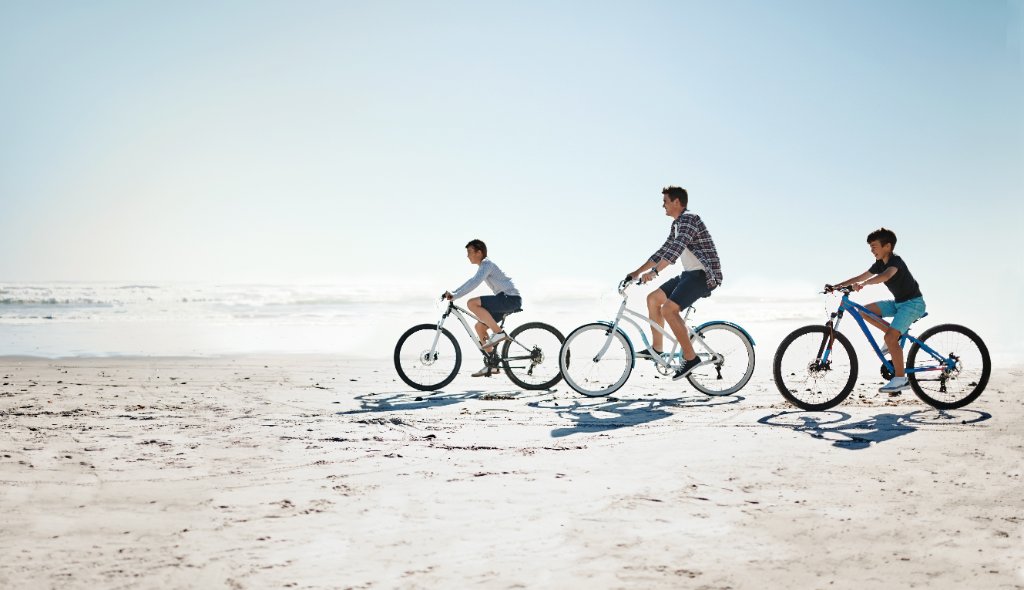 Bicycle Rental