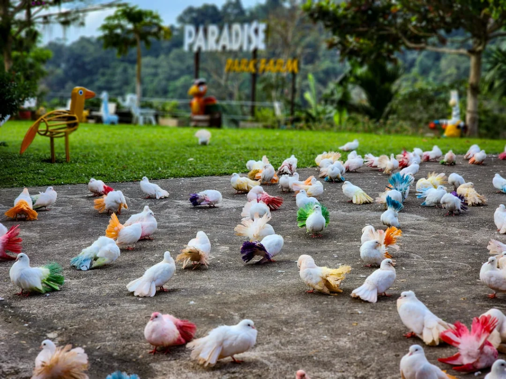 Paradise Park Farm
