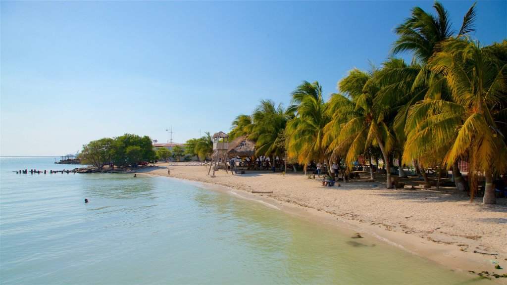 Tour a Ciudad de Carmen y Laguna de Términos. Saliendo desde Campeche.