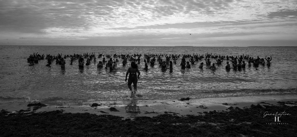 Polar Bear Plunge