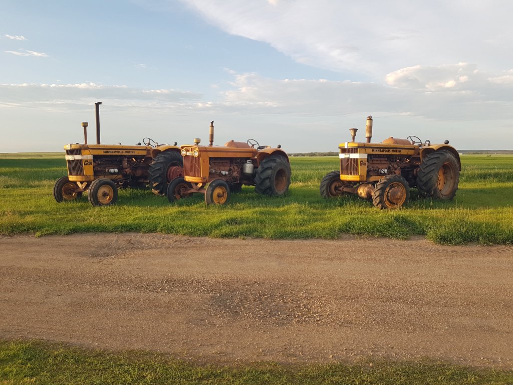 Minneapolis-Moline Tractor Trio