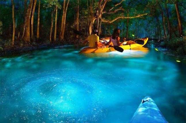 Bio Bay Kayaking