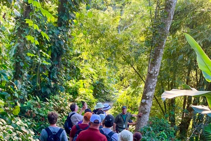 El Yunque Guided Tours