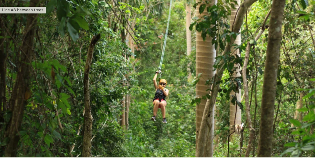 Rainforest Zipline