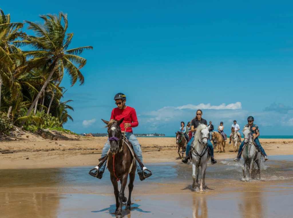 Beach Horseback Riding