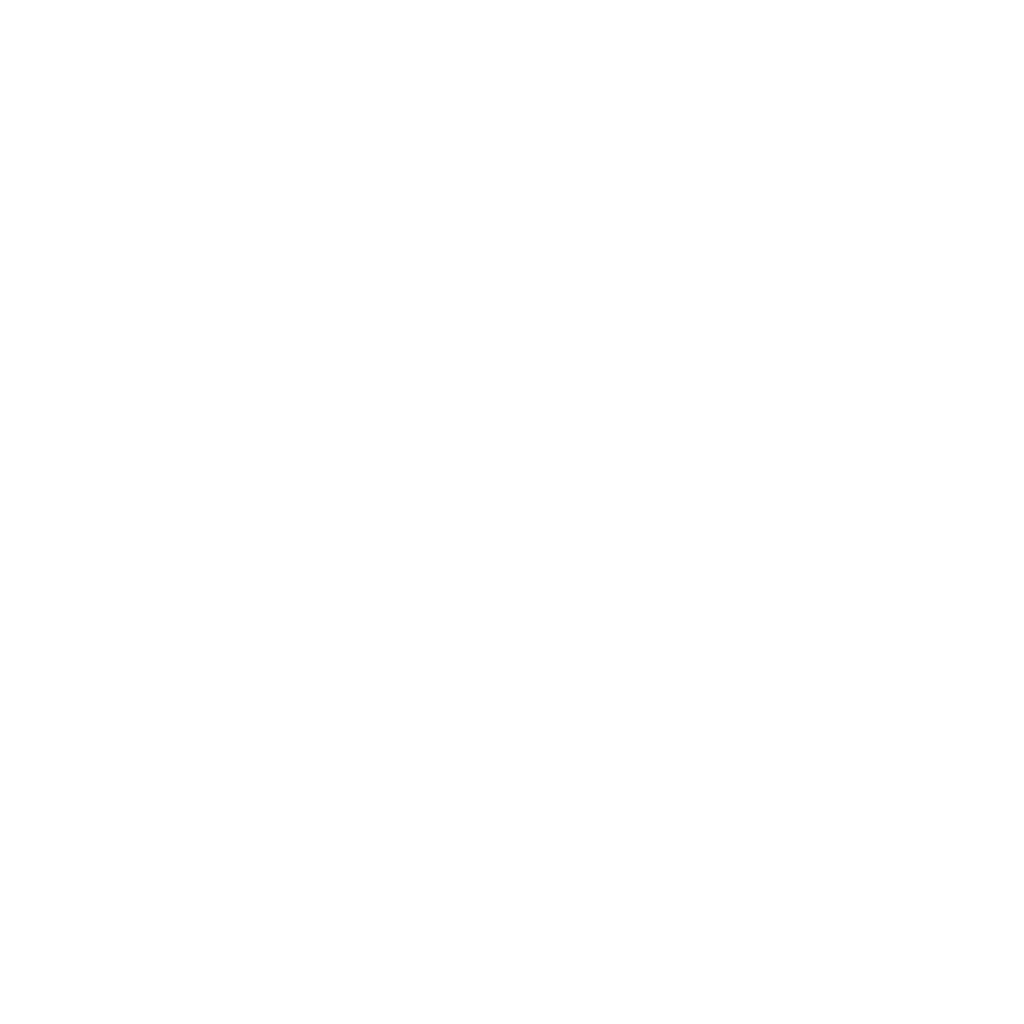 WordPress Experts