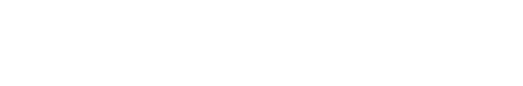 Shopify Partners