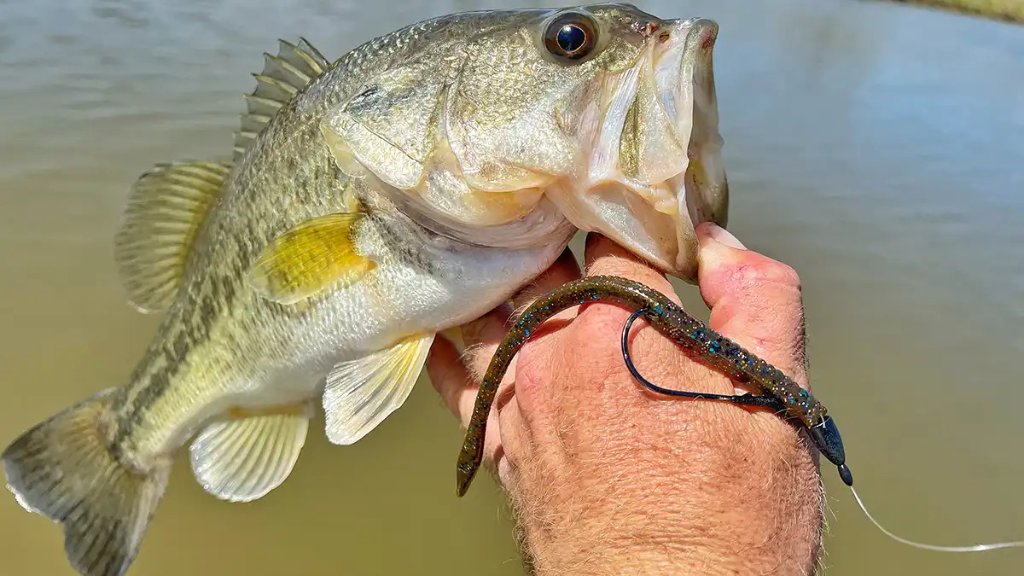 Soft Plastics