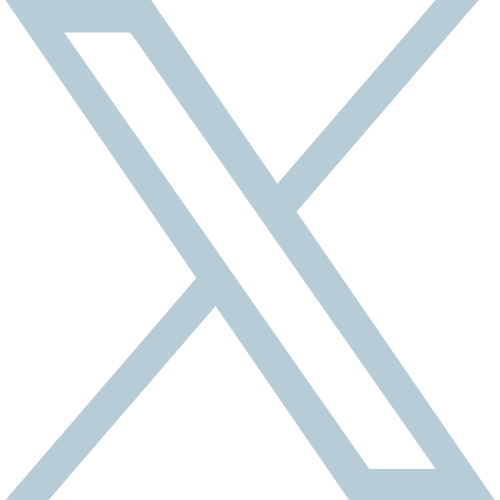 X Platform