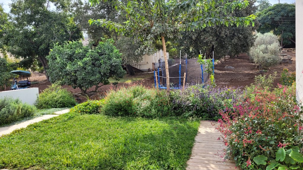 גינה ירוקה בשיא פריחתה