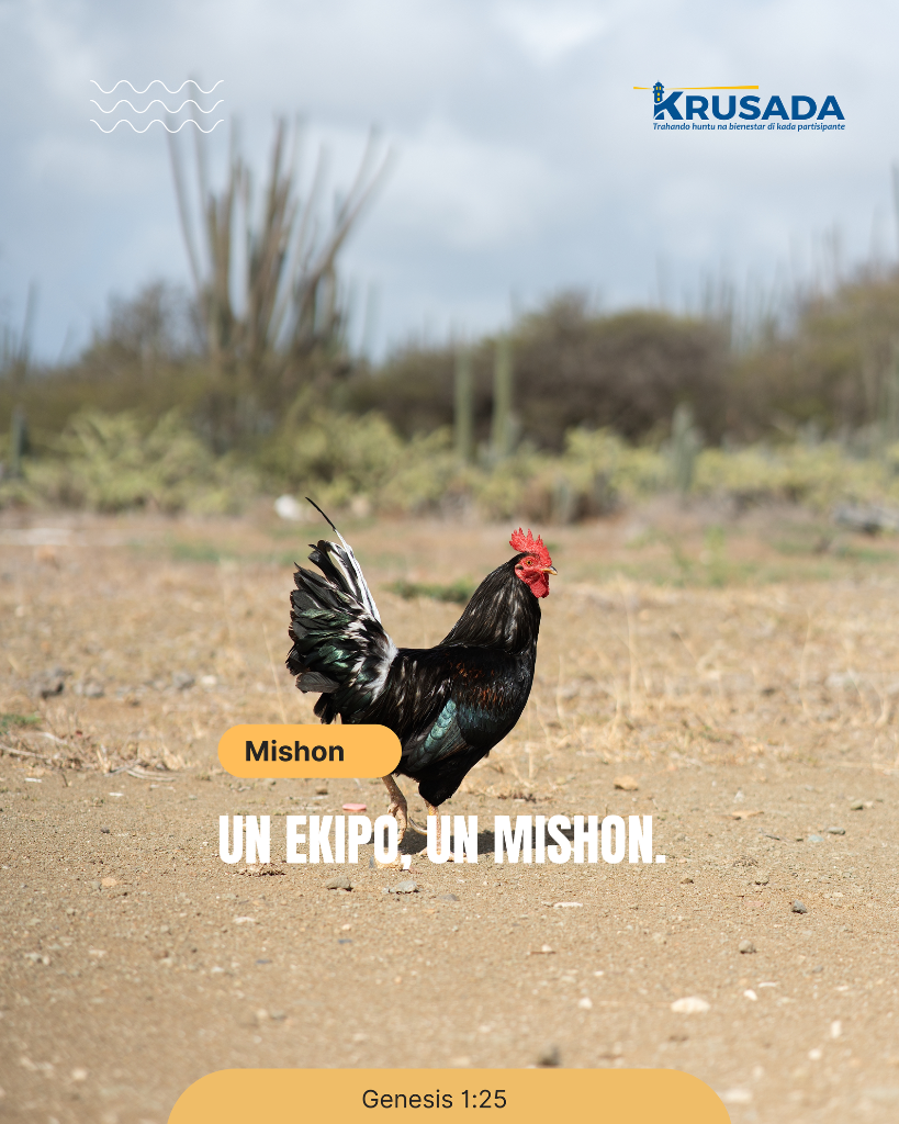 Un Ekipo, Un Mishon