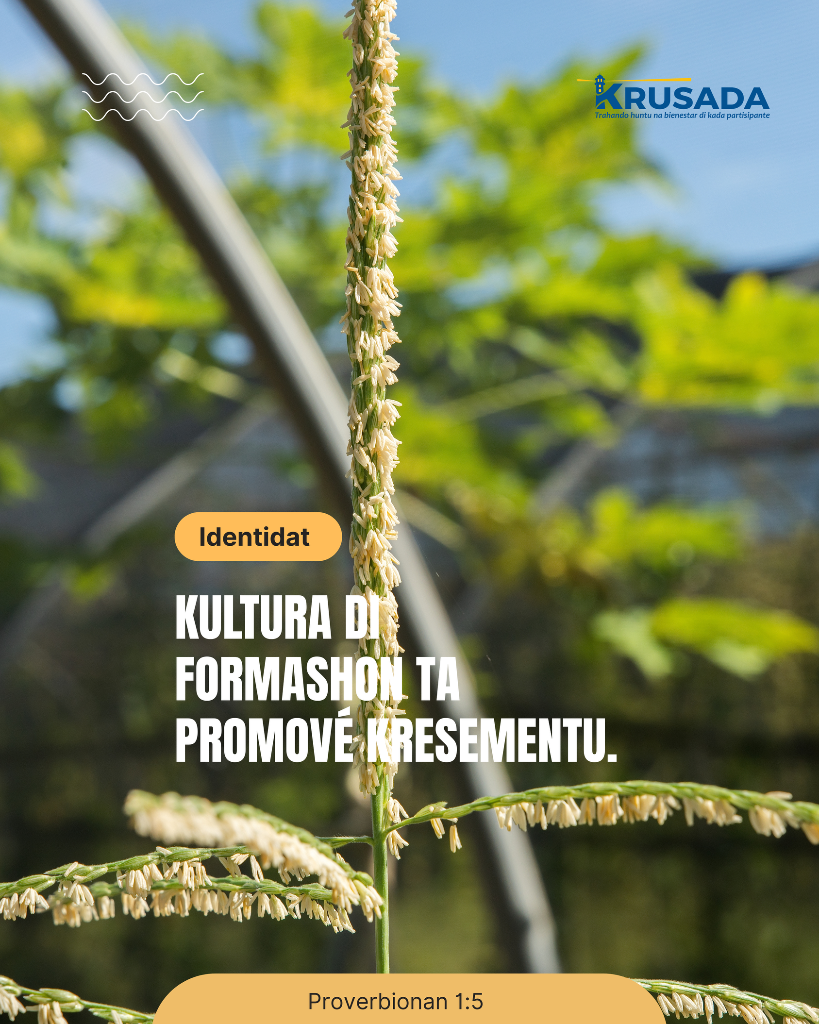 Kultura di Formashon