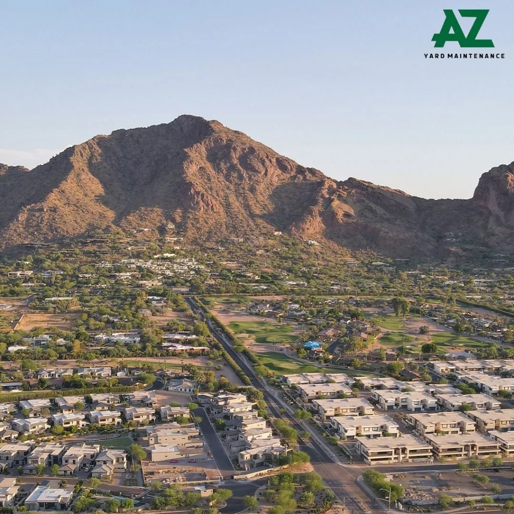 About Arizona Yard Maintenance - Arizona Yard Maintenance professional tree and landscape services