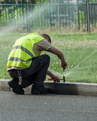 Landscape Maintenance - Professional tree and landscape services in Apache Junction, Arizona