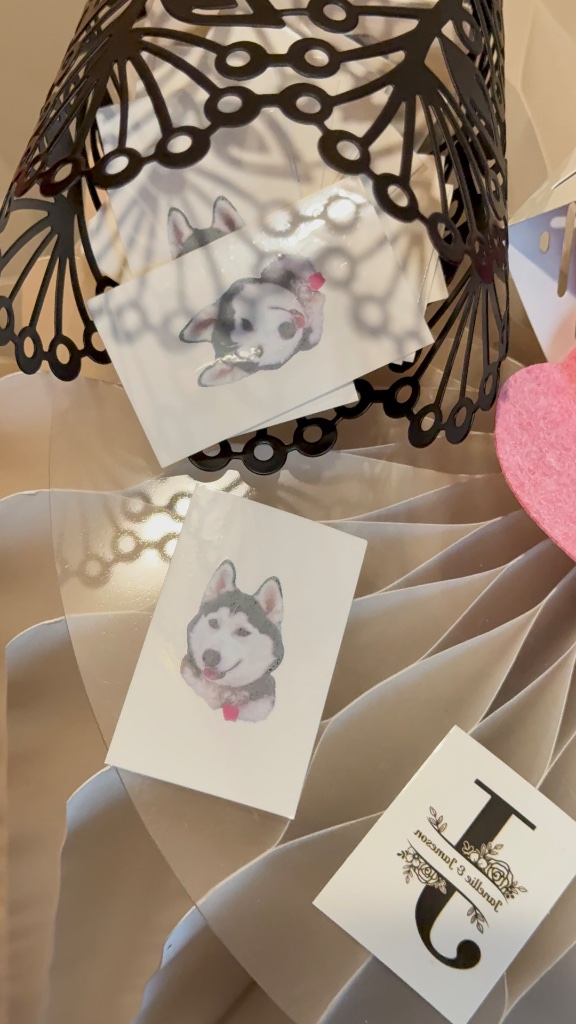 Pink & White Photobooth Backdrop