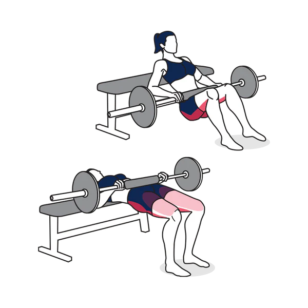 Barbell Hip Thrust