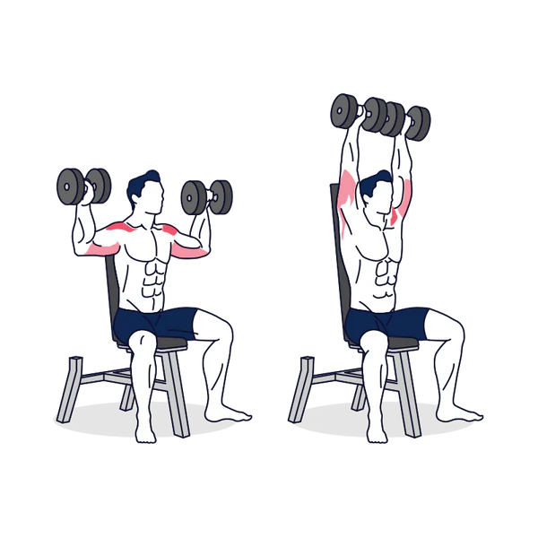 Dumbbell Shoulder Press
