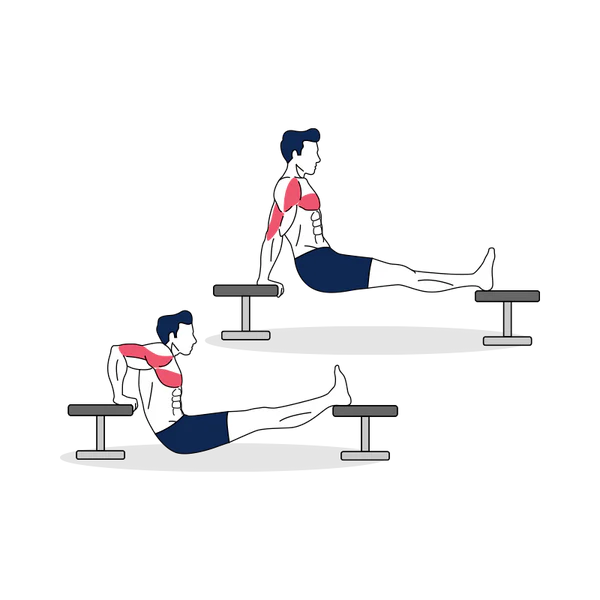 Bench Dips