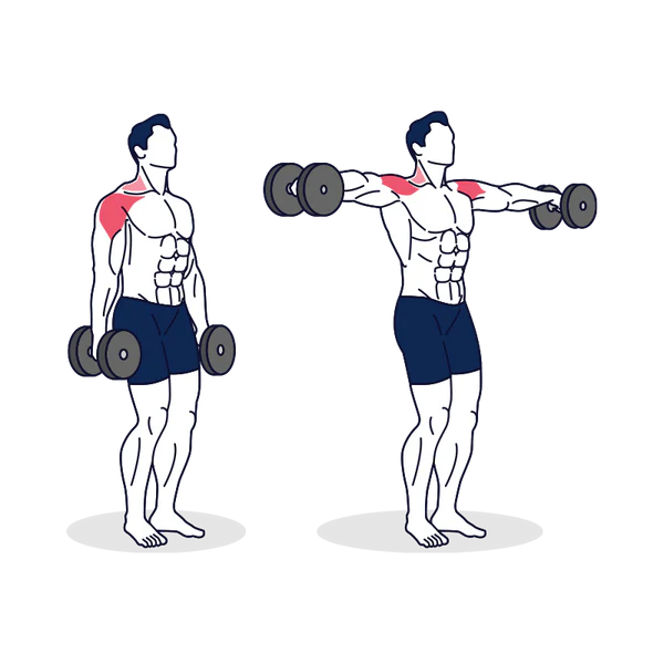 Dumbbell Lateral Raise