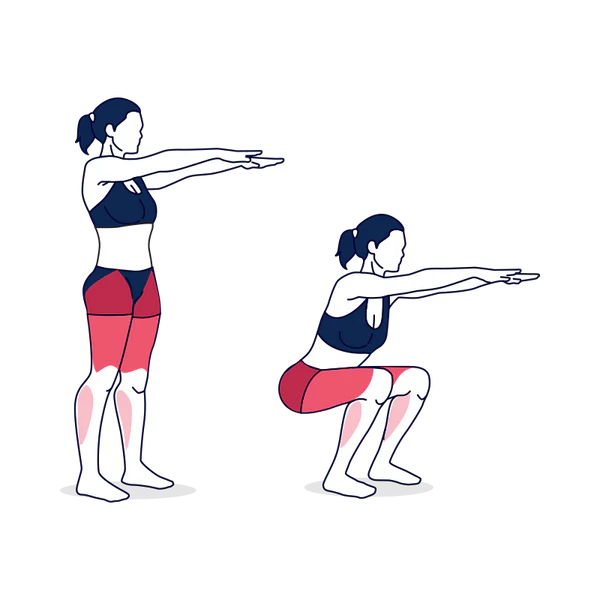 Bodyweight Squat