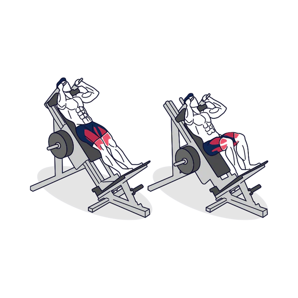 Hack Squat