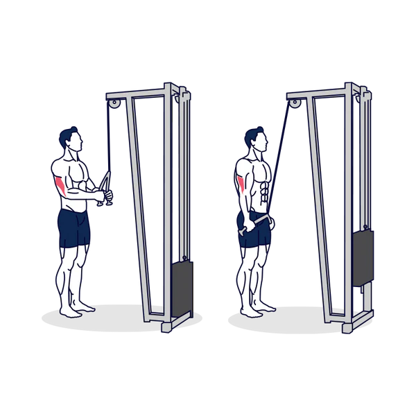 Cable Rope Pushdown