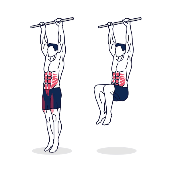Hanging Leg Raise