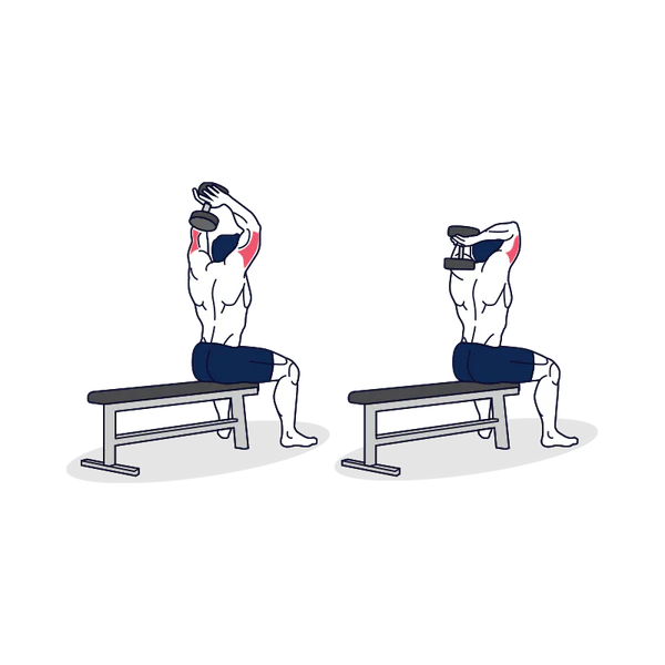 Dumbbell Overhead Triceps Extension