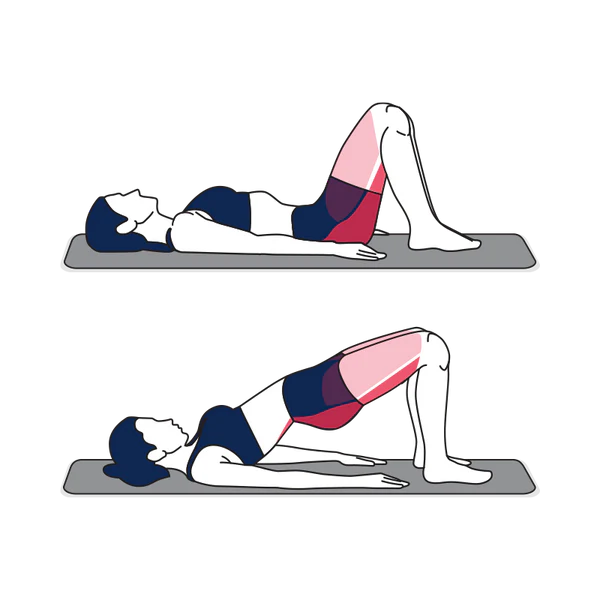 Bodyweight Glute Bridge