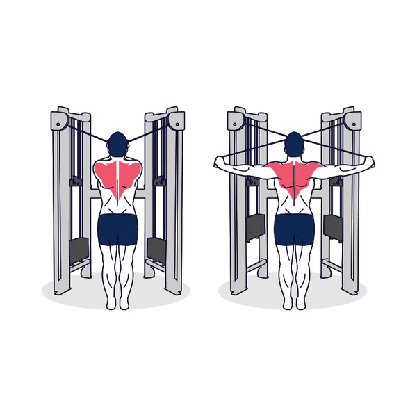 High Cable Rear Delt Fly