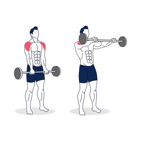 Barbell Front Raise