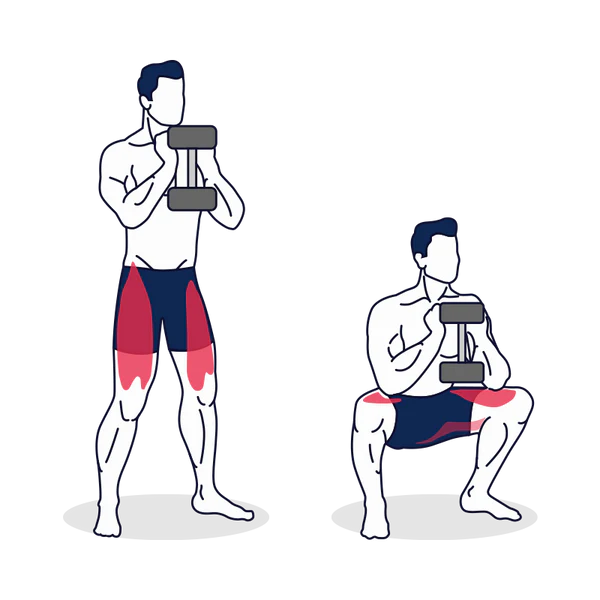 Dumbbell Goblet Squat