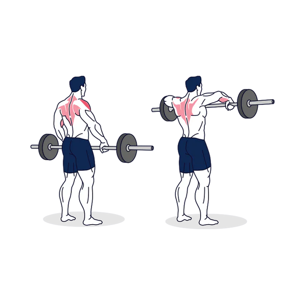 Barbell Upright Row