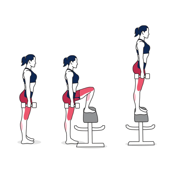 Dumbbell Step Up