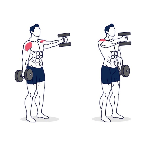 Alternate Dumbbell Front Raise Neutral Grip
