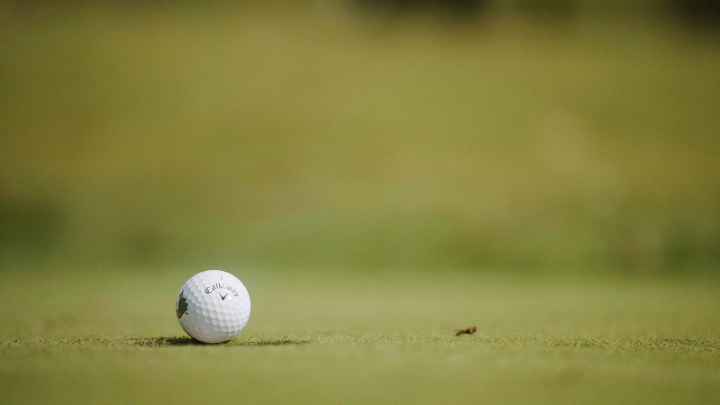 Golf ball on course