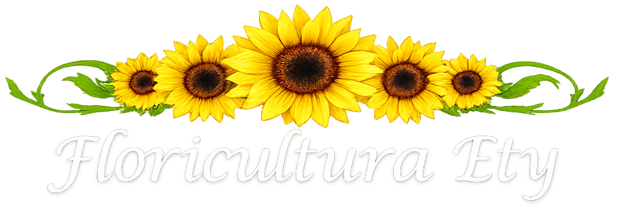 Floricultura Ety