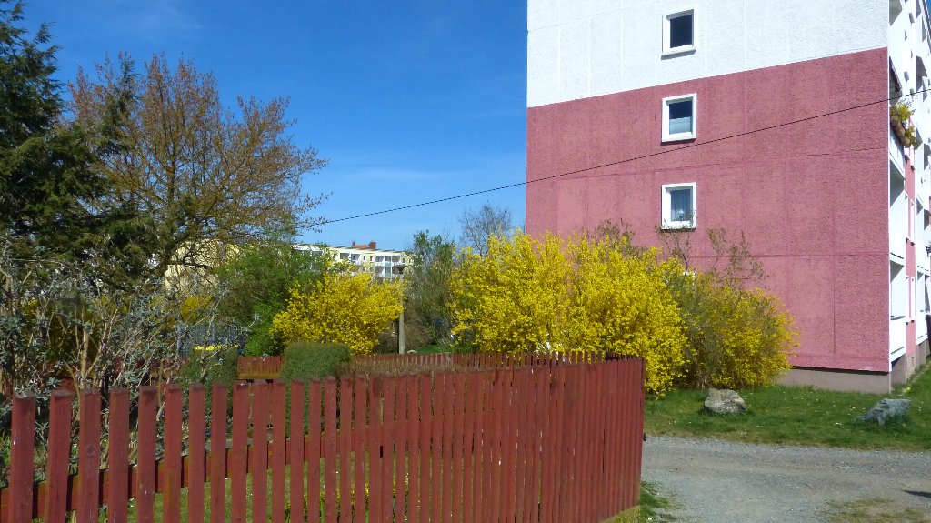 Kleingärten & Gartenanlagen