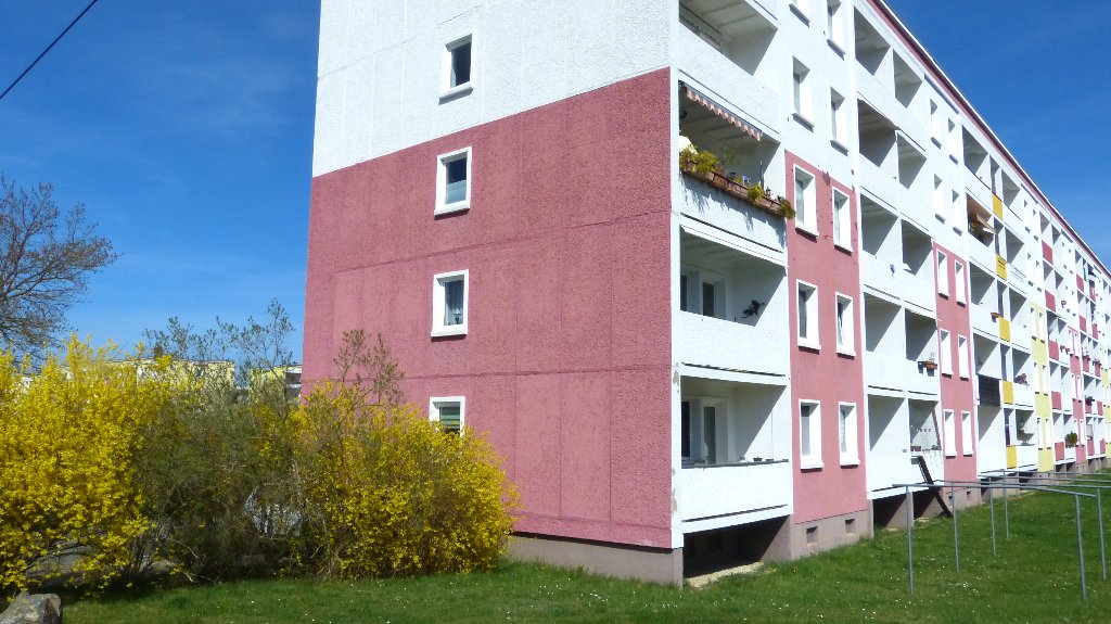 Frühlingsgarten mit Kirschblüte